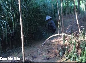 Cá rô phi hấp lá đinh lăng thơm ngon bổ dưỡng Mẹ làm